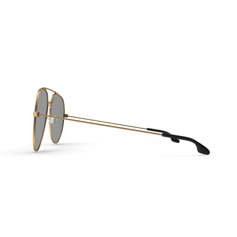 Gold Rimmed Aviators