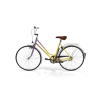 Rainbow Polyvalent Bike